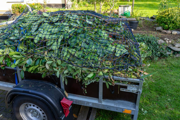 Best Residential Junk Removal  in Highlands Ranch, CO
